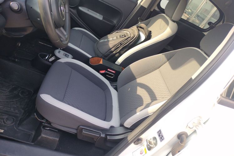 欧拉黑猫 2019款 351km 女神版中控内饰19