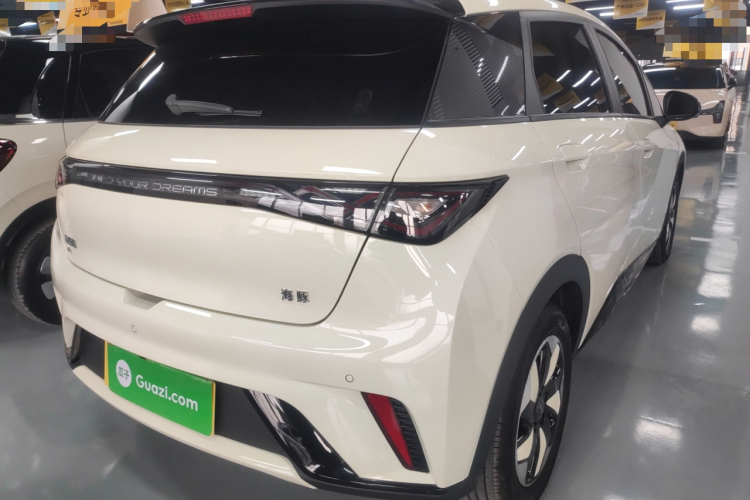 比亚迪 海豚 2024款 荣耀版 420km 时尚版车身外观7