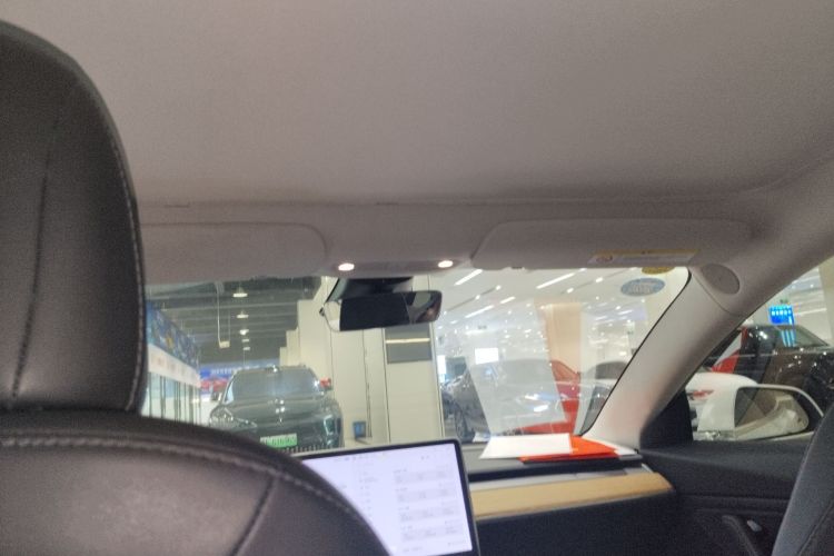 特斯拉 Model 3(进口) 2019款 长续航后驱版中控内饰22