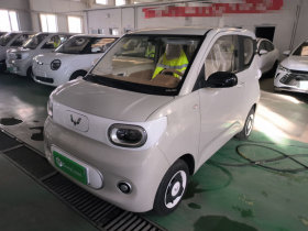 五菱汽车 宏光MINIEV 2024款 第三代 215km 青春版