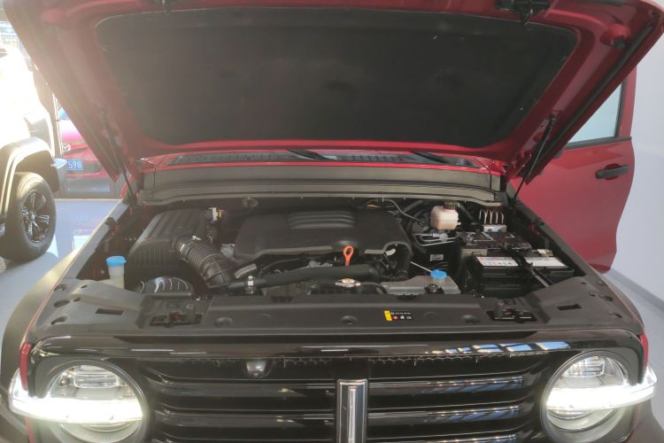 坦克300 2021款 越野版 2.0T 征服者机舱底盘24