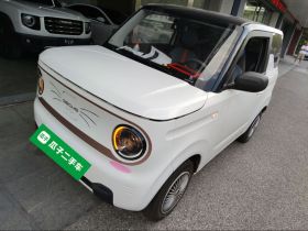 吉利银河 2024款 熊猫mini 200km 耐力熊