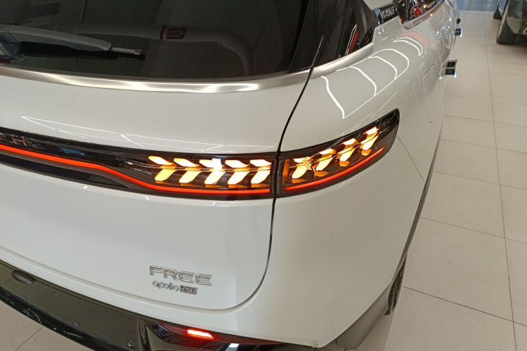 岚图汽车 岚图FREE 2024款 超长续航智驾版车身外观9