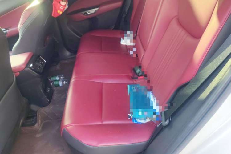 雷克萨斯NX 2023款 350h 前驱 创悦版中控内饰21