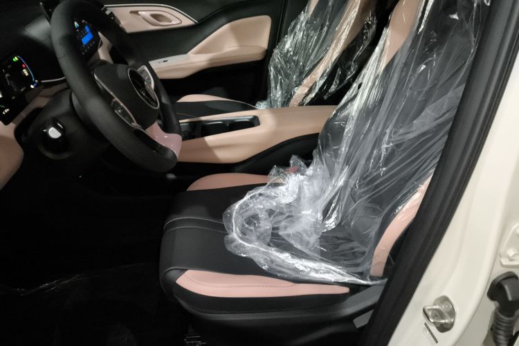 比亚迪 海鸥 2025款 智驾版 305km 活力版中控内饰19