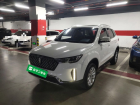 奔腾T33 2019款 1.6L 手动豪华型 国V