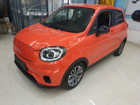 零跑汽车 零跑T03 2021款 400轻享版 磷酸铁锂