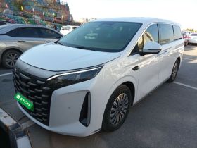 比亚迪 夏 2025款 DM-i 1.5T 180km 超越型