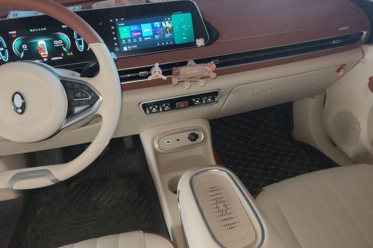 欧拉好猫 2023款 401km标准续航 豪华型 磷酸铁锂中控内饰16