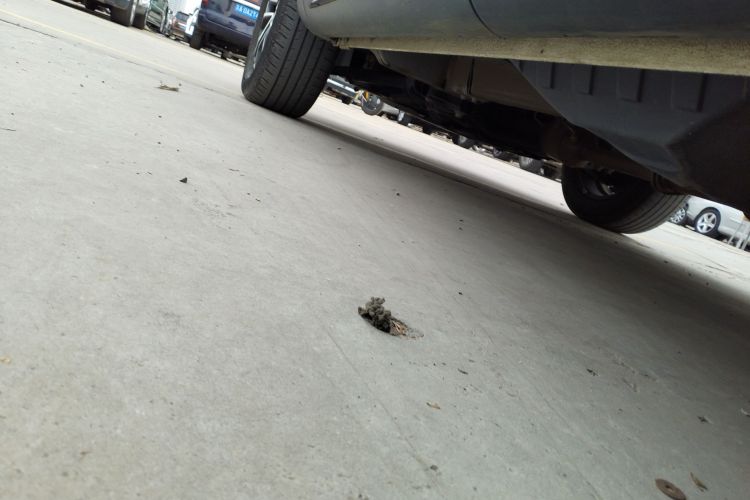 哈弗H6 2021款 国潮版 1.5T 自动都市版局部细节9002