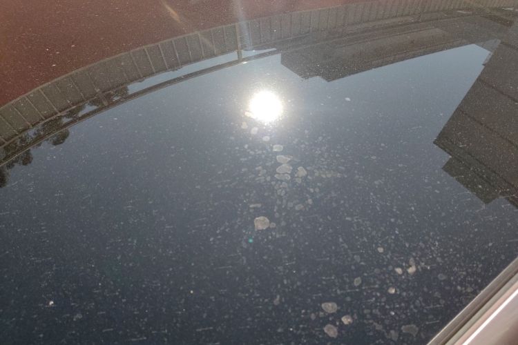 比亚迪 海豚 2023款 420km 时尚版局部细节57