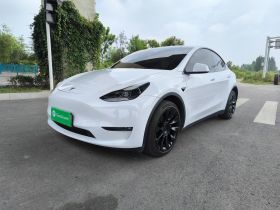 特斯拉 Model Y 2021款 长续航全轮驱动版 3D7