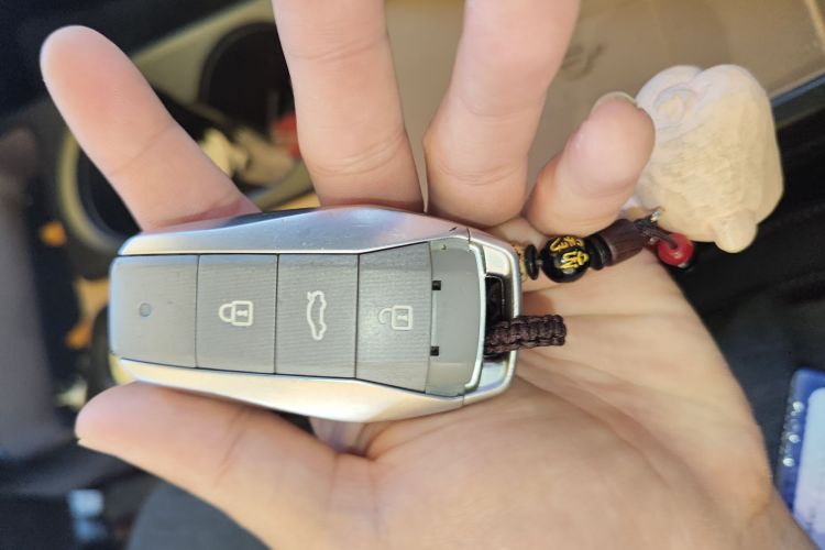 思皓 2022款 花仙子款 四叶草中控内饰7001