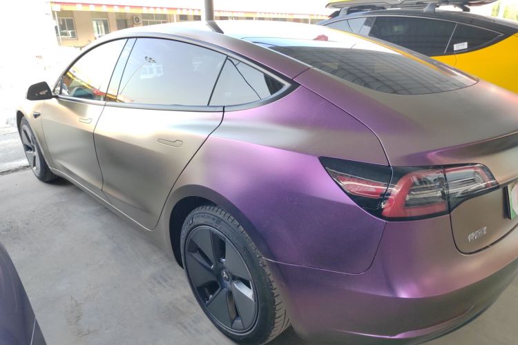 特斯拉 Model 3 2021款 标准续航后驱升级版车身外观6002