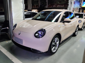 欧拉好猫 2022款 400km标准续航 豪华型 磷酸铁锂