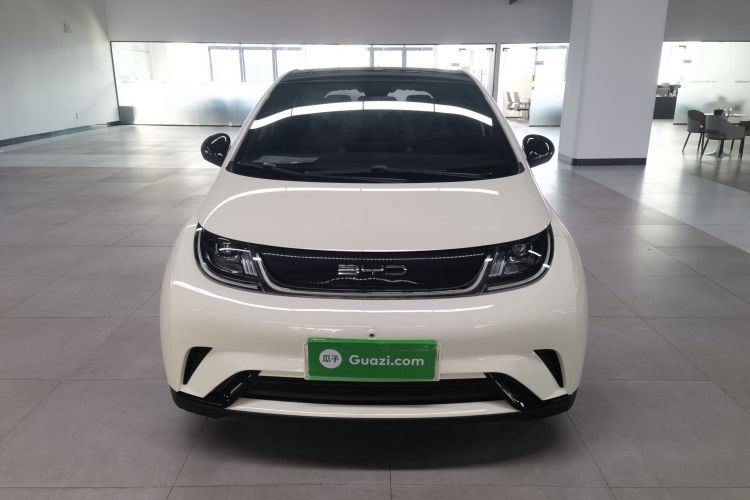 比亚迪 海豚 2023款 420km 自由版车身外观2