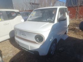 吉利银河 2024款 熊猫mini 200km 耐力熊