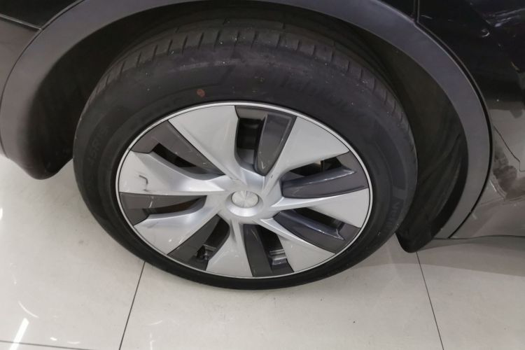 特斯拉 Model Y 2021款 标准续航后驱版车身外观6008