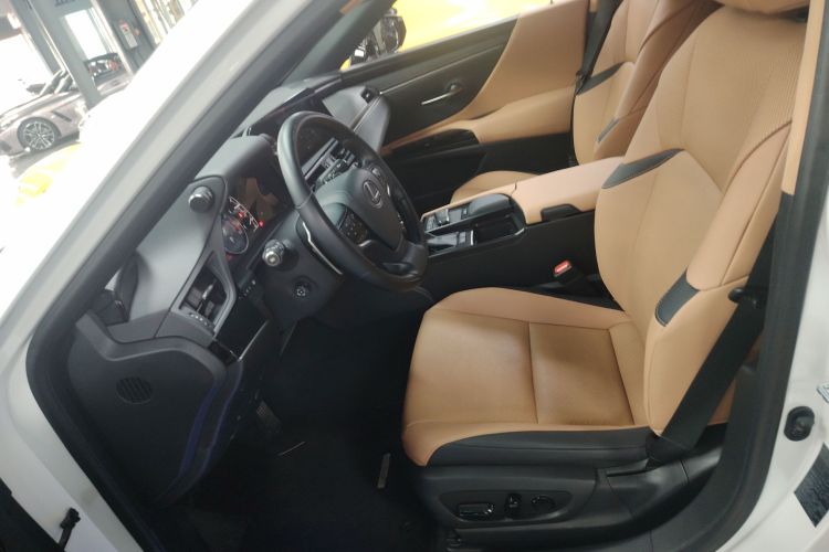 雷克萨斯ES 2021款 200 豪华版中控内饰19