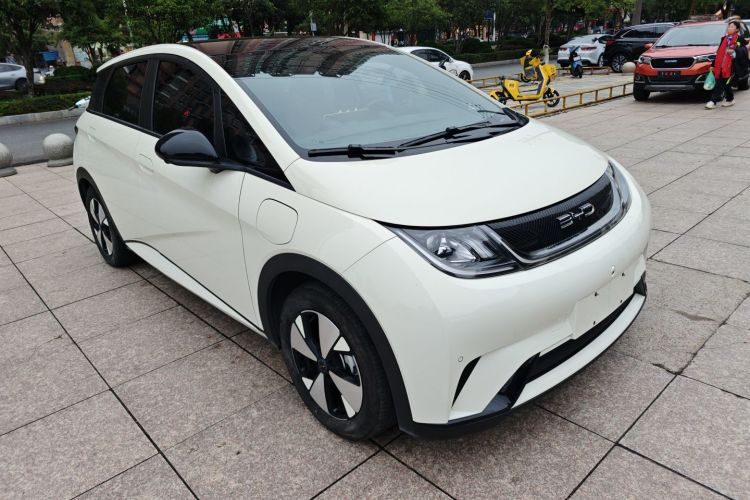 比亚迪 海豚 2023款 420km 时尚版车身外观3