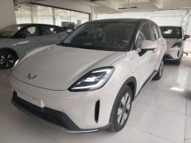 五菱汽车 缤果S 2025款 325km 尊享款