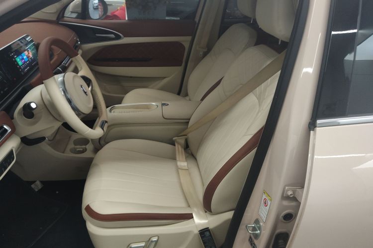 欧拉好猫 2023款 501km长续航 豪华型 三元锂中控内饰19