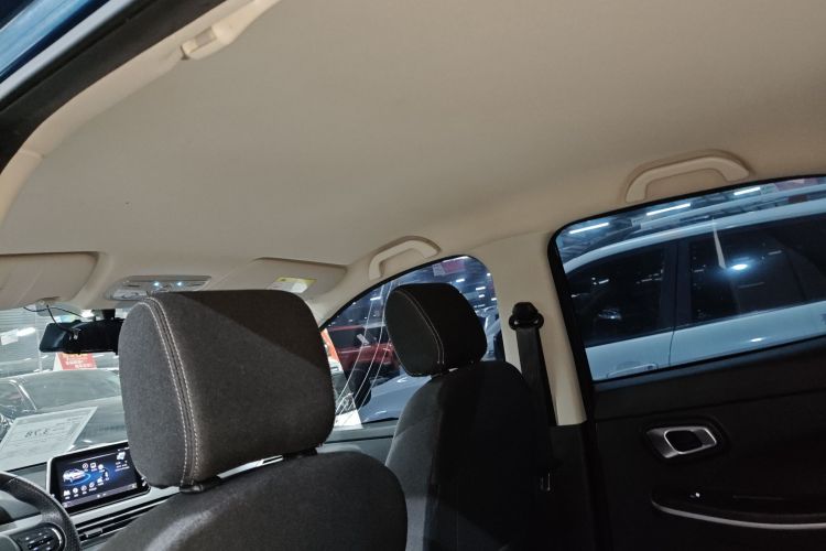 大运 悦虎 2023款 300 标准版中控内饰22