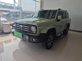 坦克300 2023款 城市版 2.0T 很有型