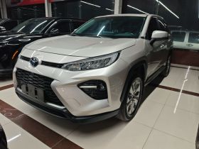丰田 威兰达 2022款 2.0L CVT两驱豪华版