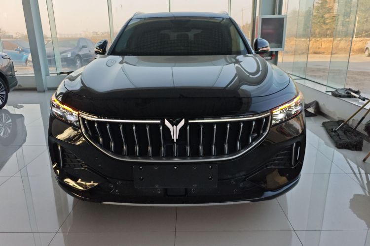 岚图汽车 岚图FREE 2021款 四驱标准增程版车身外观6001