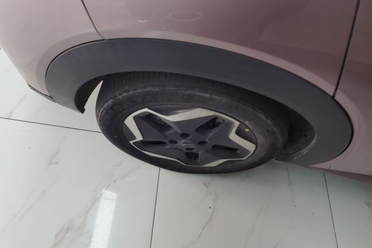 比亚迪 海豚 2021款 405km 时尚版车身外观6008