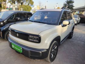 宝骏悦也Plus 2024款 智尊版 4座