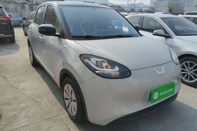 五菱汽车 五菱缤果 2023款 333km 快享款车身外观3