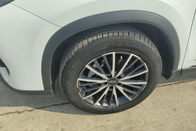 奇瑞 瑞虎8 PRO 2024款 冠军版 290T 两驱巅峰版 5座车身外观6007