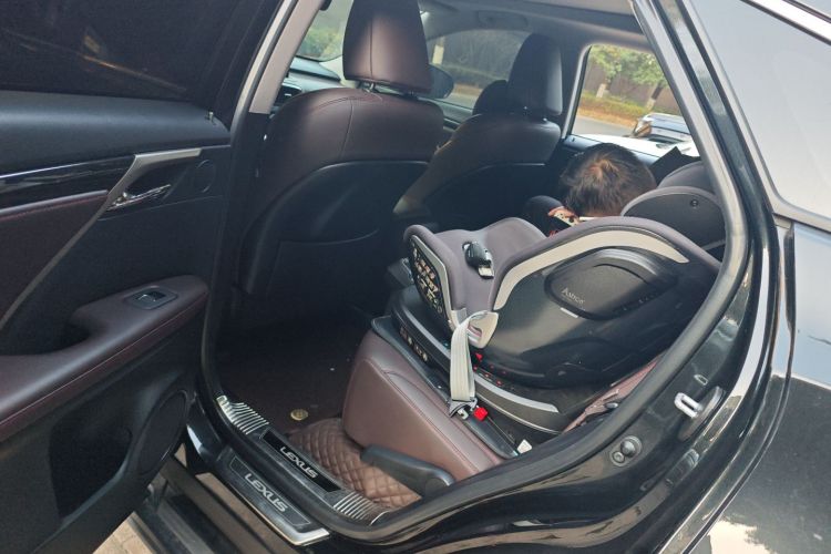 雷克萨斯RX 2020款 300 四驱典雅版 国VI中控内饰21