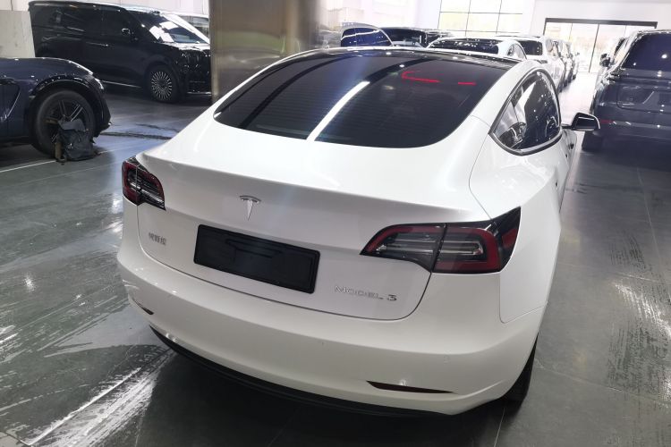 特斯拉 Model 3 2021款 标准续航后驱升级版 3D6车身外观6005