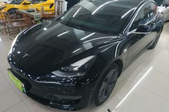 特斯拉 Model 3 2020款 改款 长续航后轮驱动版