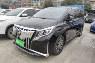 广汽传祺 传祺M8 2021款 领秀系列 390T 至尊版