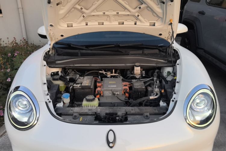 欧拉好猫 2021款 400km标准续航 维纳斯版 三元锂机舱底盘24