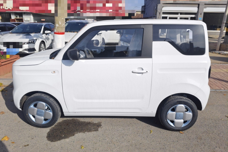 吉利银河 2024款 熊猫mini 200km 耐力熊车身外观4