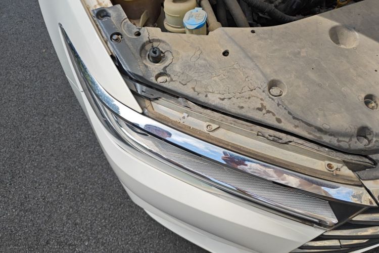 比亚迪 秦 2019款 1.5L 手动豪华型车身外观6006