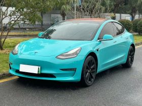 特斯拉 Model 3(进口) 2019款 长续航后驱版