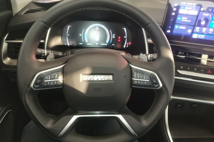 哈弗H6 2021款 国潮版 1.5T 自动冠军版中控内饰13