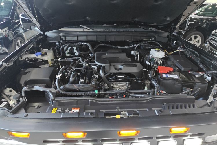 福特烈马 2024款 2.3T 荒地机舱底盘24