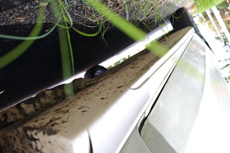 凯翼 轩度 2021款 1.5T CVT雄起版局部细节9001