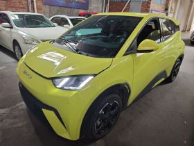 比亚迪 海鸥 2023款 飞翔版