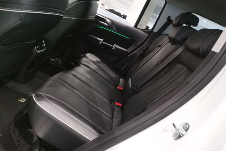 坦克300 2023款 2.0T 铁骑02中控内饰21