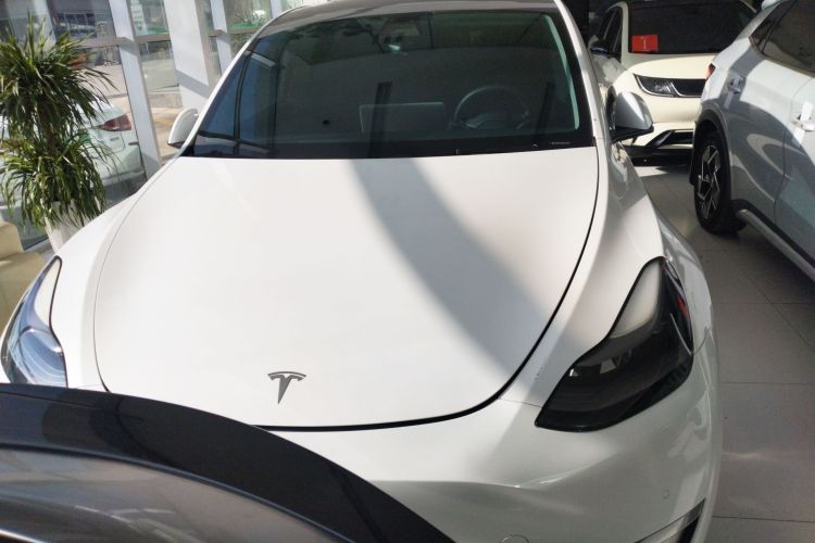 特斯拉 Model Y 2021款 标准续航后驱版车身外观2