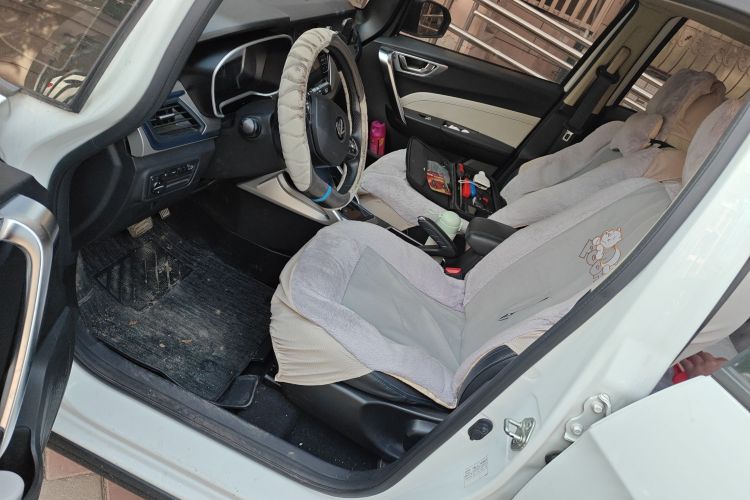 睿蓝汽车 枫叶30X 2020款 智行版中控内饰19