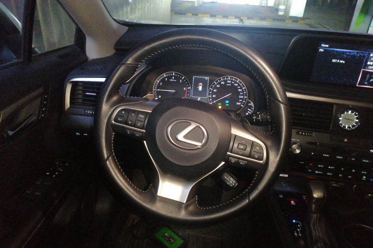 雷克萨斯RX 2020款 300 四驱典雅版 国VI局部细节13